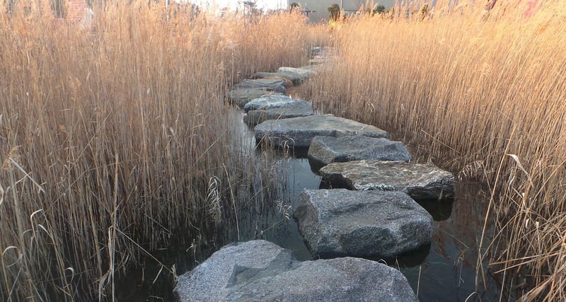 Garden Stepping Stones